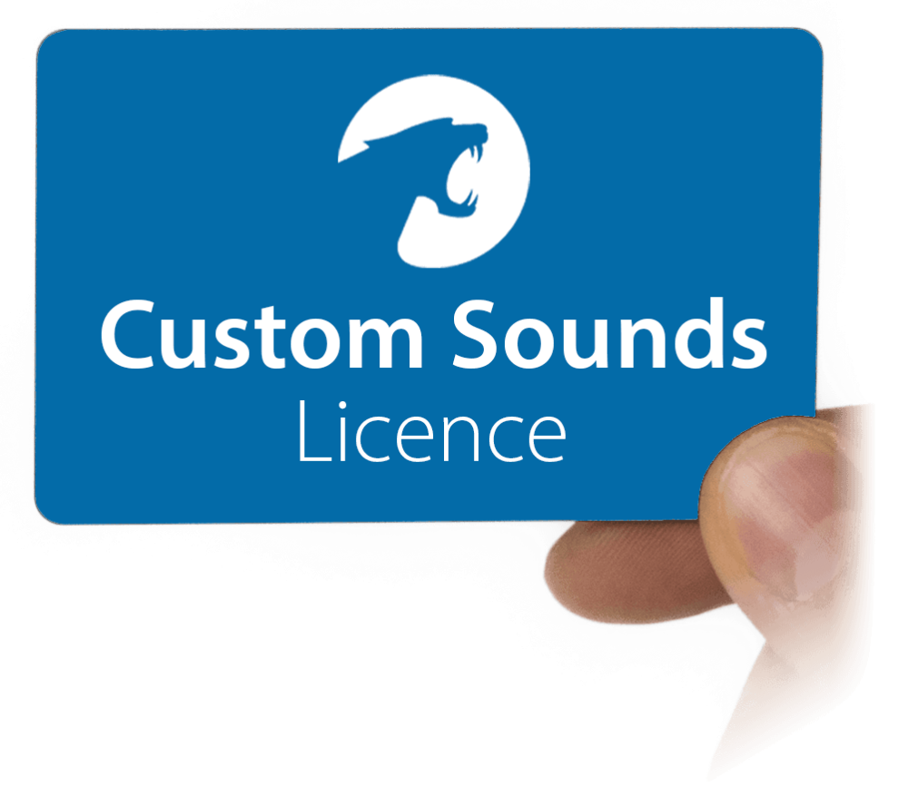 SOFTWARE | Licence - Custom Sound |